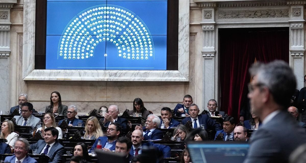 Holgada aprobación a un proyecto para fondos en discapacidad en Diputados