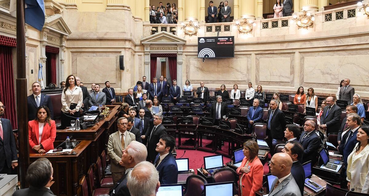El Senado aprobó la reforma de la ley de Salud Mental y el proyecto pasó a Diputados