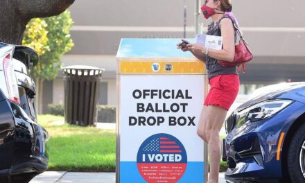 Qué revelan los primeros datos de la votación anticipada